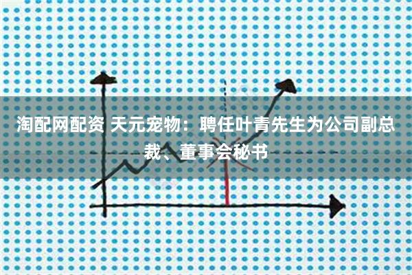 淘配网配资 天元宠物：聘任叶青先生为公司副总裁、董事会秘书