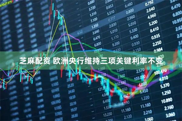芝麻配资 欧洲央行维持三项关键利率不变