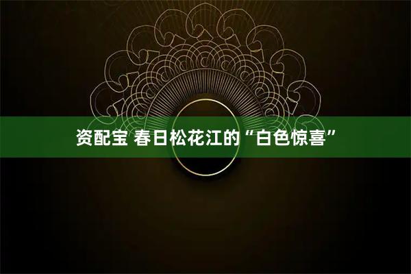 资配宝 春日松花江的“白色惊喜”